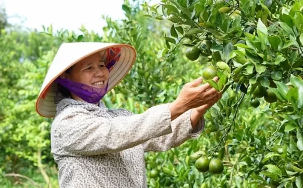 Cam Kết Đồng Hành Cùng Nhà Nông