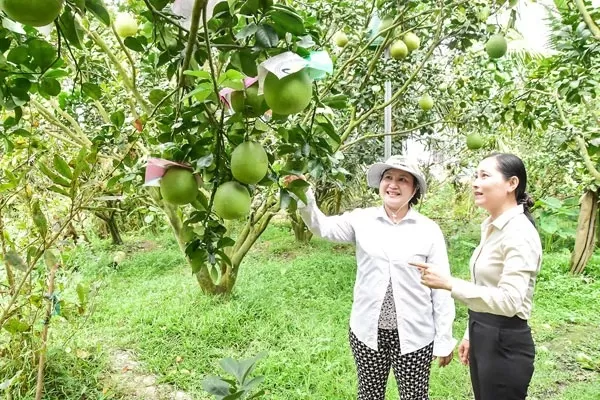 Dịch Vụ Hỗ Trợ Nông Dân 24/7 Từ BIENO